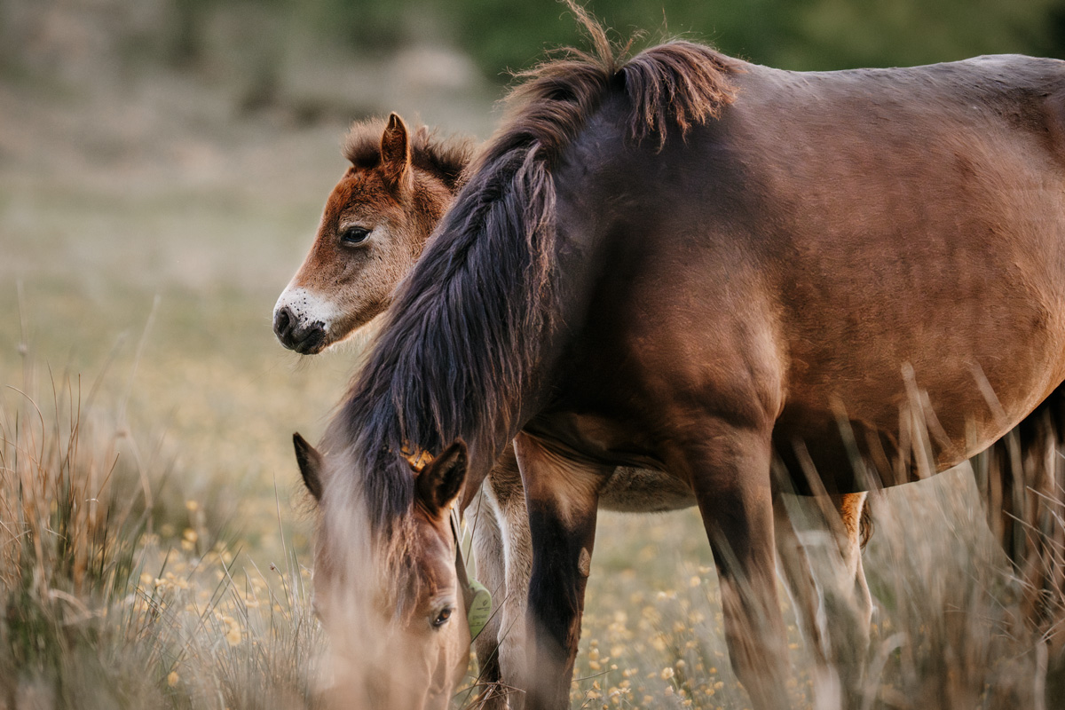 Kalender 2026 – Bild 14