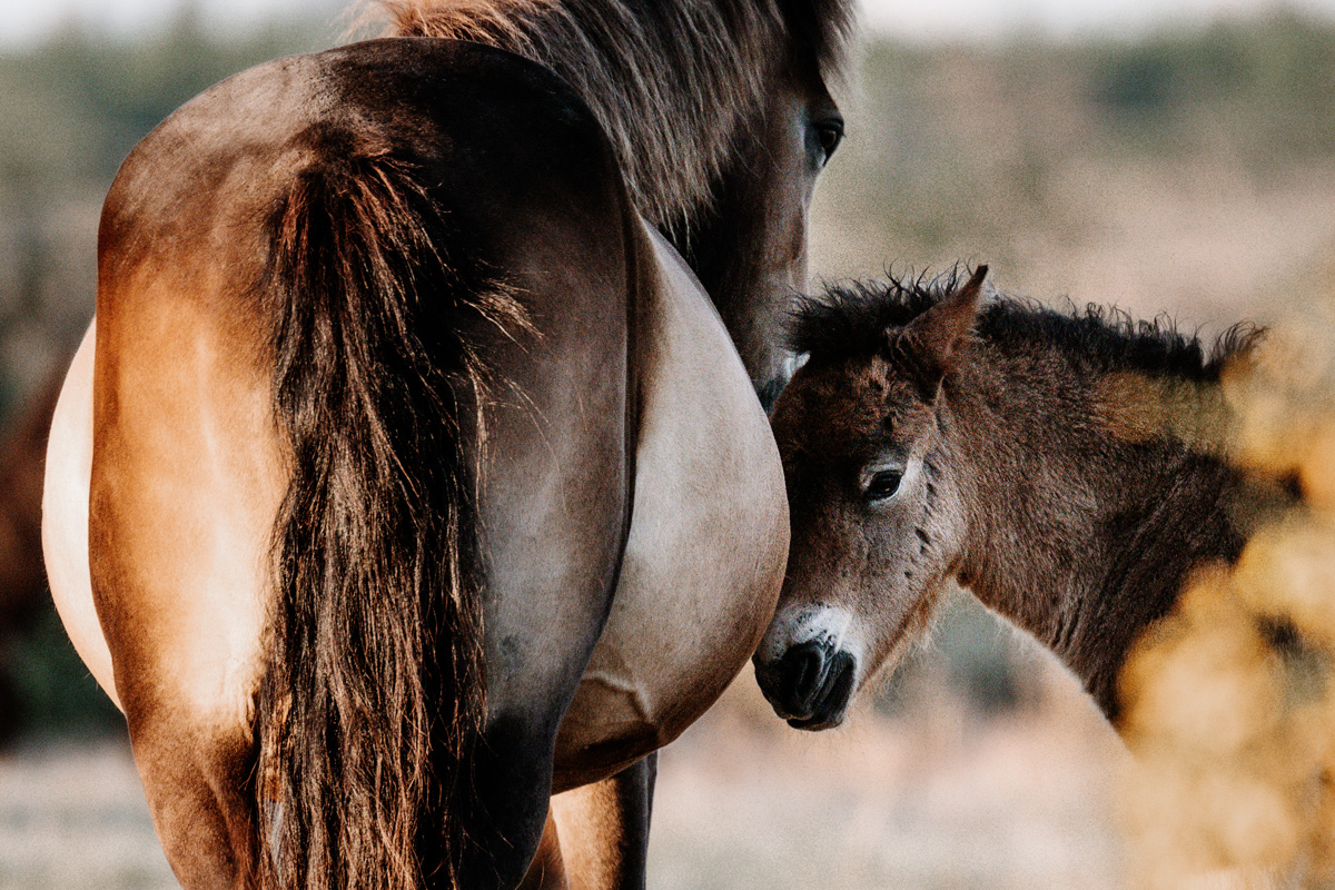 Kalender 2026 – Bild 3