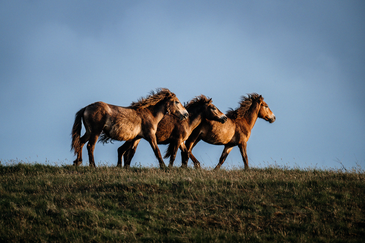 Kalender 2026 – Bild 9