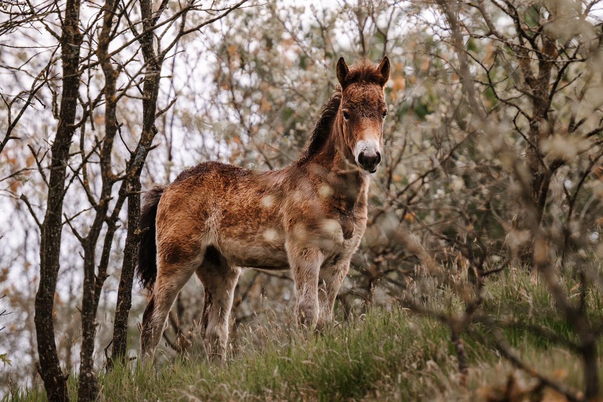 Kalender 2026 – Bild 10