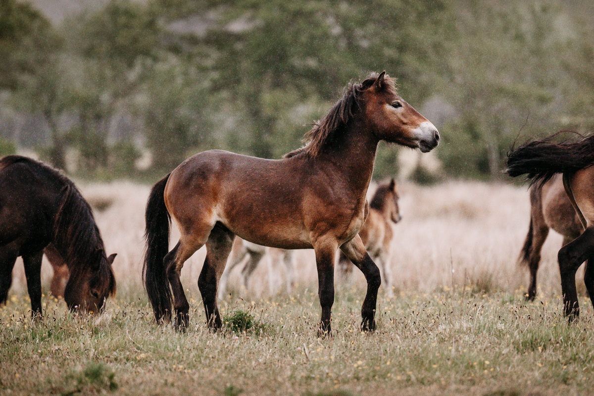 Kalender 2026 – Bild 11