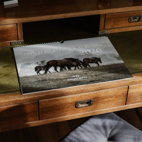 Kalender 2026 - HUNDERT BLICKE