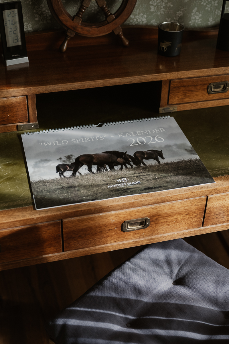 Kalender 2026 - HUNDERT BLICKE