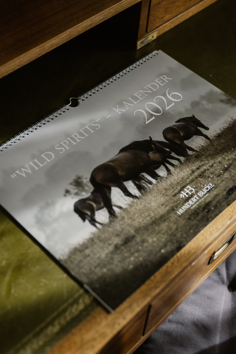 Kalender 2026 - HUNDERT BLICKE
