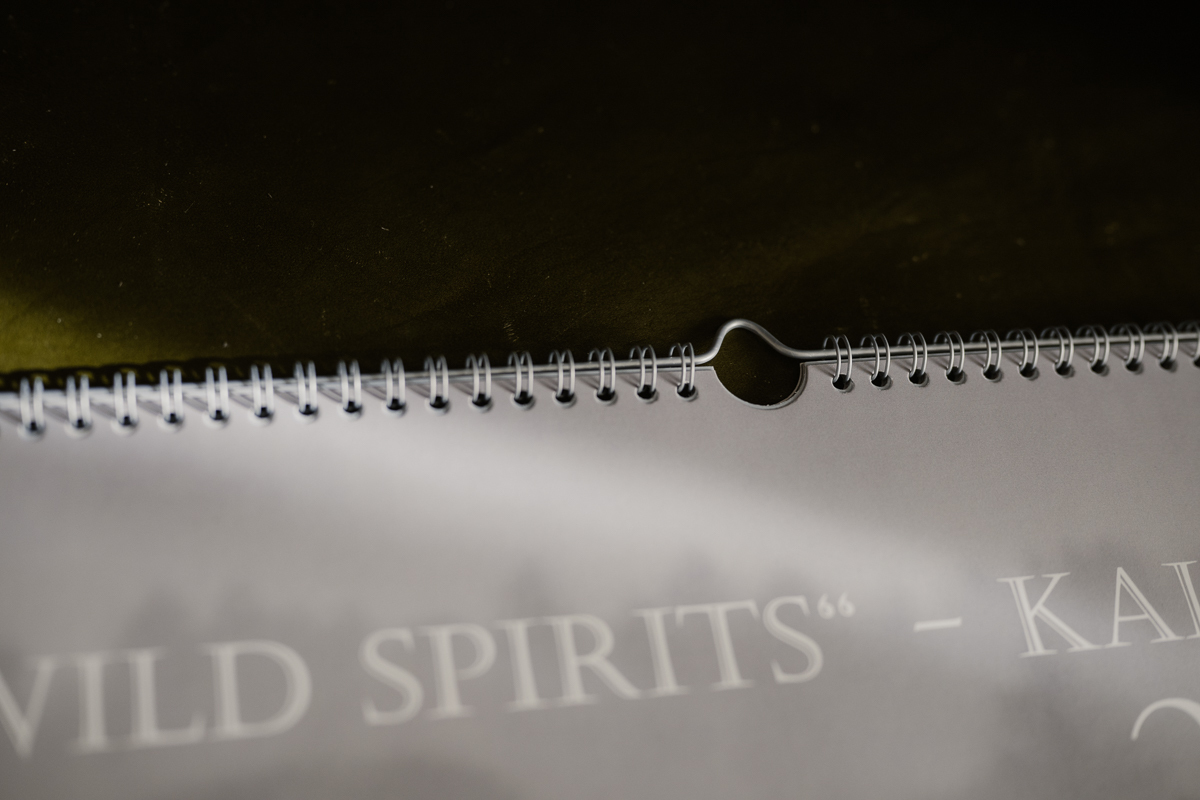 Kalender 2026 - HUNDERT BLICKE