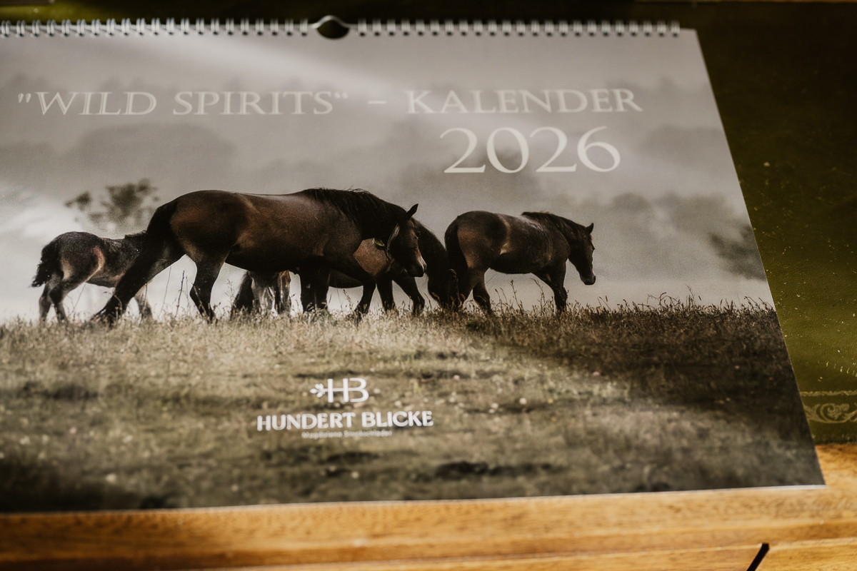 Kalender 2026 - HUNDERT BLICKE