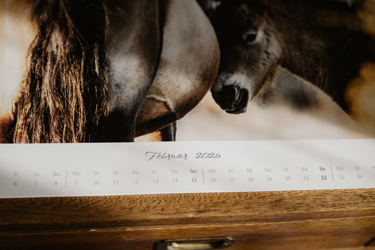 Kalender 2026 - HUNDERT BLICKE