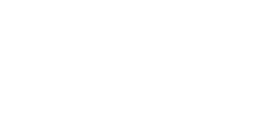HUNDERT BLICKE Logo
