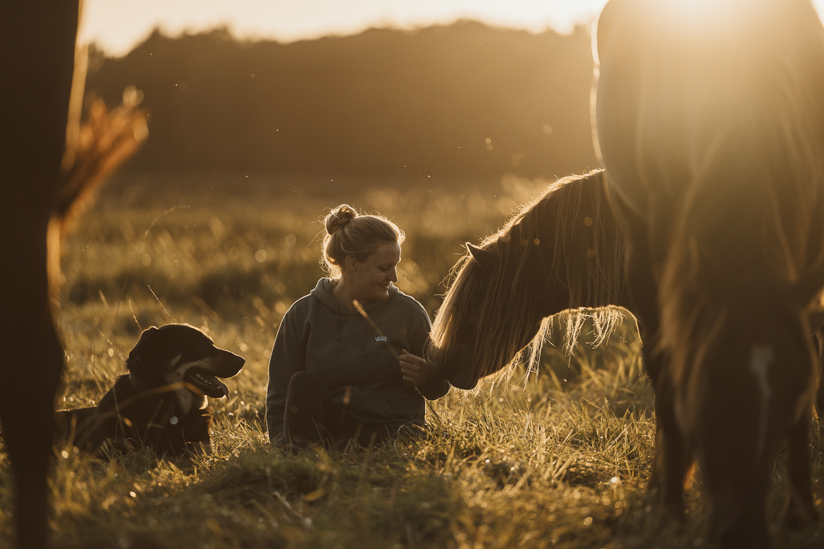 Sonnenuntergang auf der Weide, mit Hund, Pferd und ihren Besitzerin. HUNDERT BLICKE Authentische Fotografie aus Schleswig-Holstein