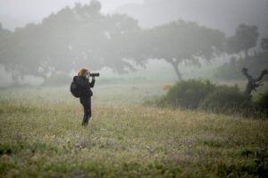 Magdalena Stockschläder - Tierfotografin in Portugal