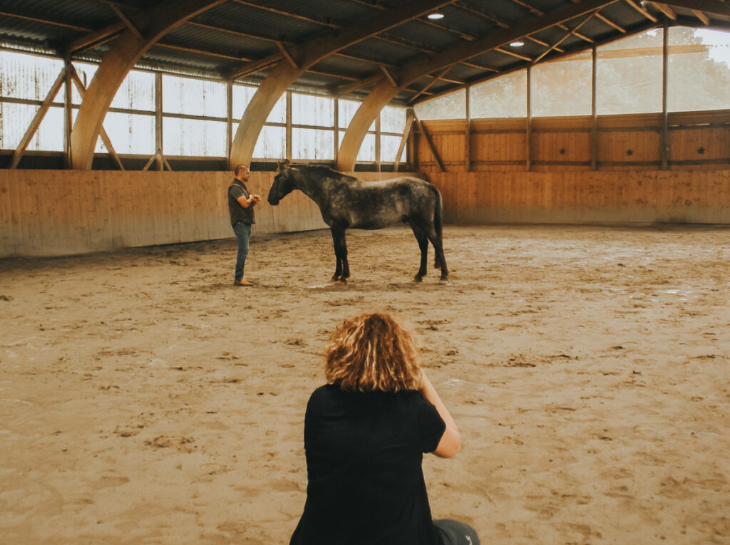 Pferdetrainer mit Pferd in der Reithalle bei der Freiarbeit wird von einer Tierfotografin fotografiert