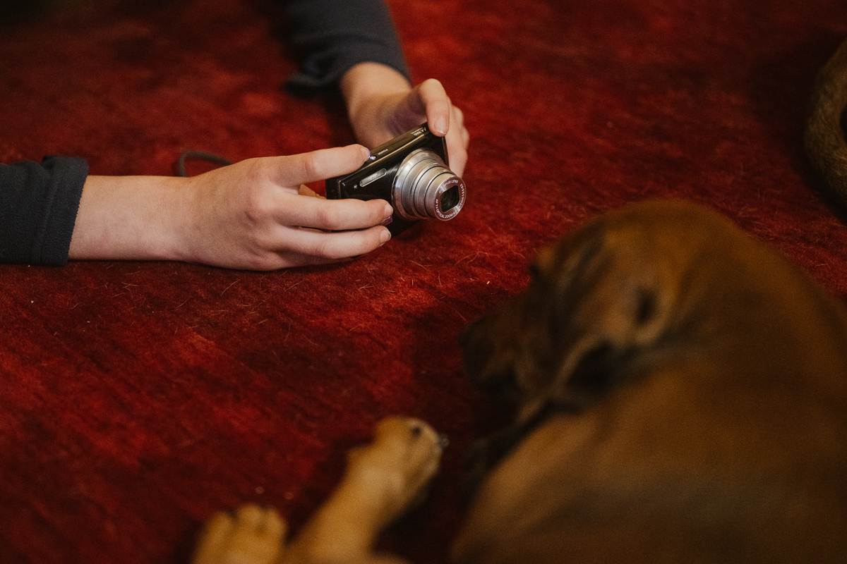 Eine Schulpraktikantin beim Fotografieren von Welpen der Rasse Rhodesian Ridgeback