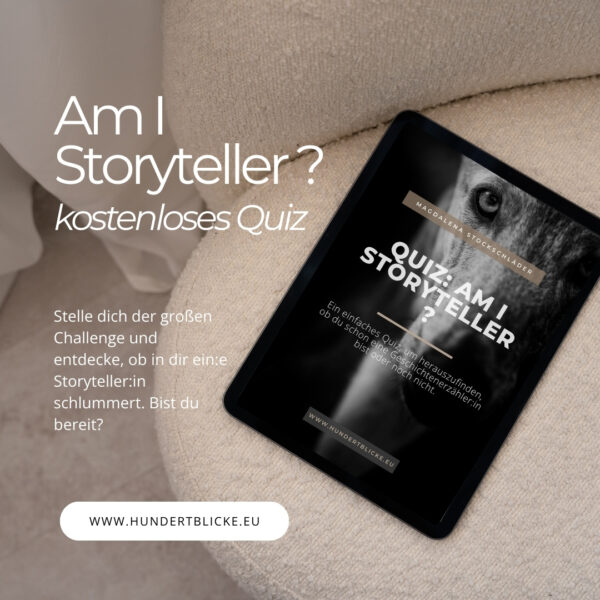 Am I Storyteller - Quiz