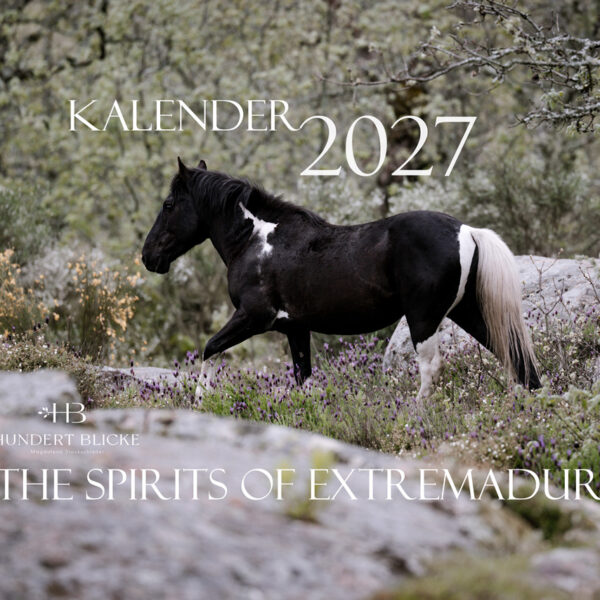 Kalender 2027 - Pferde - VORBESTELLUNG